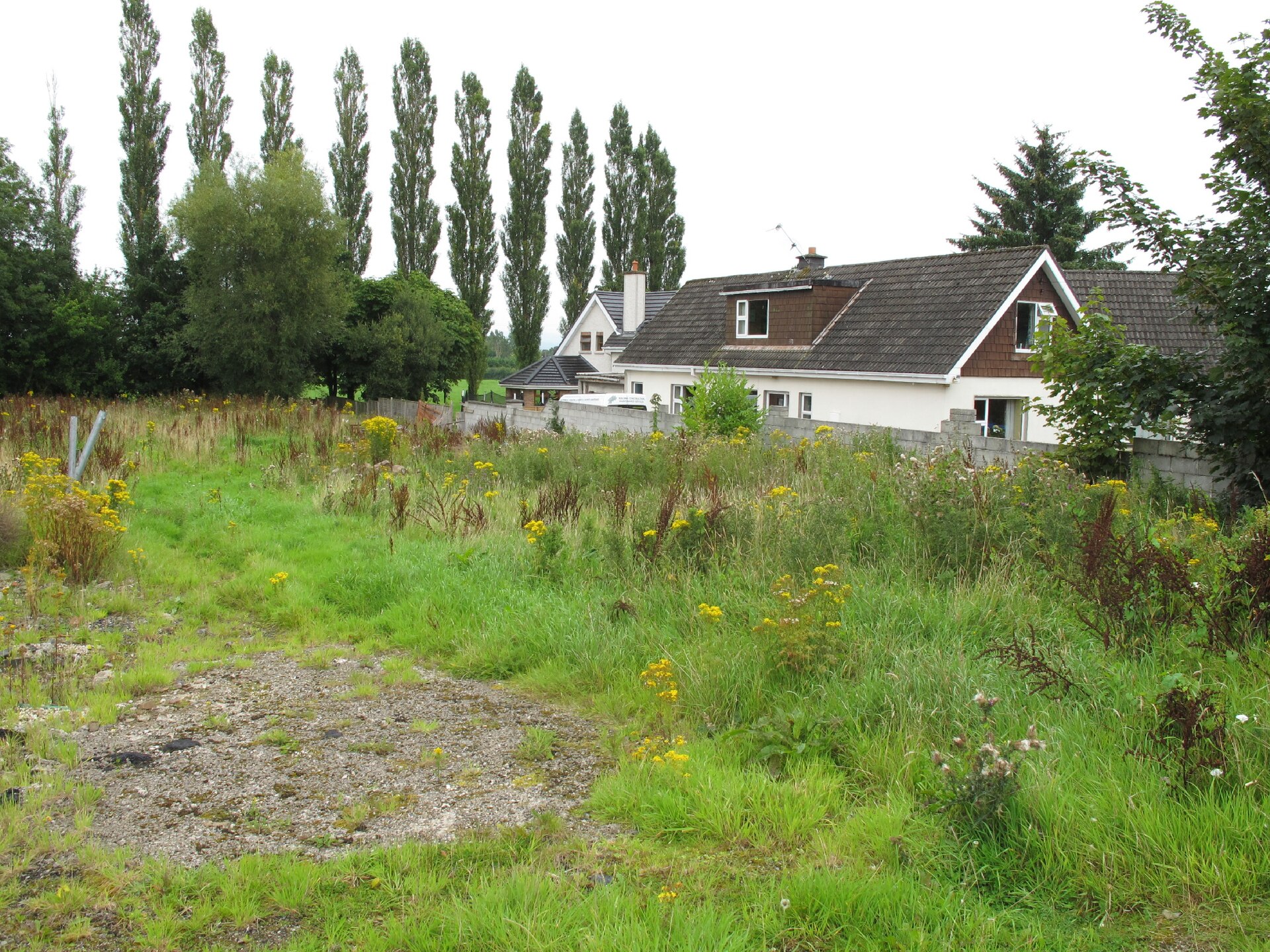 Grassy land beside established homes and trees in Monaleen, photographed in 2010.